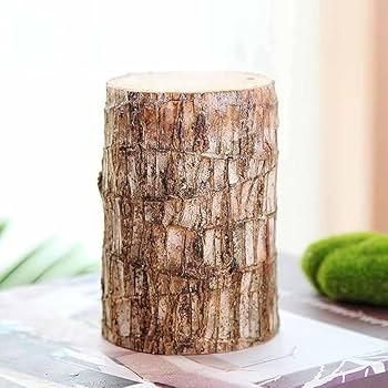 Brazilian Lucky Wood, Mini Home Plant Decorations